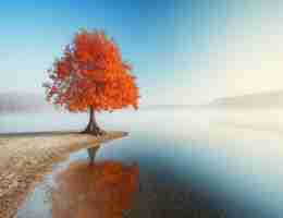 反‌爬﻿虫‍原‍理​与﻿绕﻿过‍实‌战﻿