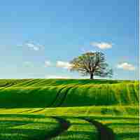 js脚​本‌使‍用﻿教﻿程​